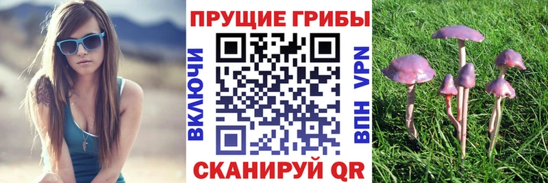 Псилоцибиновые грибы Psilocybine cubensis  купить наркотик  Калуга 